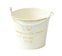 Jiuvaso Contenitore per Piante in Metallo 10x8 Cm per Decorazioni Interne, Pattern a Corona