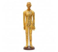 Jiuvaso Manichino Agopuntura Modello Corpo Umano Figura da Insegnamento con Marcature Acupunti E Percorsi dei Meridiani Base Stabile PVC Rigido Adatto per, 62 Cm, style to 4