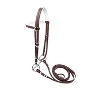 Jiuvaso per Cavalli con capezza e testiera, Corda per Equitazione per addestramento al Dressage su Pista, Marrone 12.5 Cm