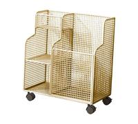 Jiuvaso Porta Tappetino con Ruote, Organizer per Attrezzature Fitness per Home Studio, Oro