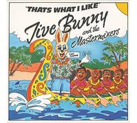 Jive Bunny And The Mastermixers - That's what I like (1989) / Vinyl Maxi Single [Vinyl 12'']