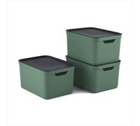Jive Dekobox Set di 3 contenitori da 16 l con coperchio, Plastica (PP riciclato), verde/antracite, 3x16l (37.5 x 27.8 x 29.8 cm)