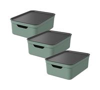 Jive Rotho scatole portaoggetti con coperchio set 3 x 10 L impilabili verde | Formato A4, coperchio su misura, aperture di presa laterali, impilabili, inseribili una nell’altra, materiale riciclato