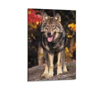 JIYAYCU Poster su tela con immagine di animali "Look Away from the Wolves", 20 x 30 cm