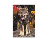 JIYAYCU Poster su tela con immagine di animali "Look Away from the Wolves", 40 x 60 cm
