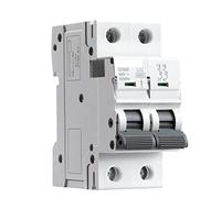 JJHQOKYNA Interruttore Automatico Gym9 Interruttore Automatico MCB a 2 Poli 23 0 V 6a-63a CA Tipo(40a)