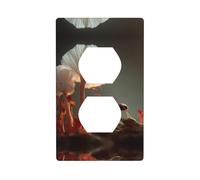 JKDGOJ Formiche e funghi Stampe Copertura elettrica domestica del pannello a parete della presa doppia durevole per le prese decorative e gli interruttori