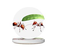 JKDGOJ Little Ants Hiding from the rain Prints, sottobicchieri per auto, 2 assorbenti in ceramica antiscivolo, decorazioni per auto
