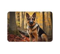 JKDGOJ Tappetino antiscivolo con stampa di cane pastore intelligente per interni ed esterni, adatto per ingressi camera da letto e bagno, 40,6 x 61 cm