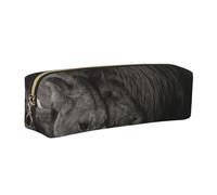 JKLQWC Astuccio in pelle stampata con leone e leonessa con cerniera dorata, organizer semplice e leggero per scuola, ufficio, viaggi, trucchi, Oro, One Size, Zaino per la scuola
