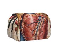 JKLQWC Astuccio per matite con stampe moderne di metà secolo, per bambini, uomini e donne, astuccio a due strati di grande capacità, organizer per ufficio, scuola, viaggi, Grafico Cuore Anatomia Umana