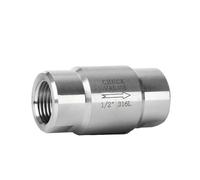 JKPQQEHV Valvola di ritegno in Acciaio Inossidabile 304 316 con Filettatura Femmina BSPP, valvole unidirezionali Non reversibili 1/8" 1/4" 3/8" 1/2" 3/4" 1" 2" 600 psi(BSPP 1 inch,304 SS)