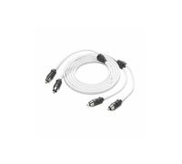 Jl Audio Collegamento Audio 2 Canali 1.8 m XMD-WHTAIC2-6
