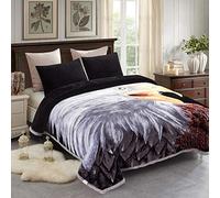 JML Coperta in pile king size 215,9 x 236,2 cm, in peluche stile coreano visone, 4,5 kg, stampa A&B a 2 strati, morbida e calda, coperta raschel, aquila/tigre