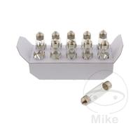 JMP Confezione da 10 lampade a bulbo 12V 10W SV8.5-8 NAOS