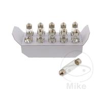 JMP Confezione da 10 lampade a bulbo 12V 10W SV8.5-8 NAOS