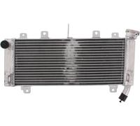 JMP Radiatore acqua JMP Z 650 H A.F. 17-19