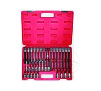 JMP Set di 32 punte per cacciavite RIBE 1/2
