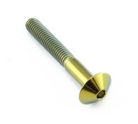 JMP Vis à tête pompe marca