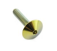 JMP Vis à tête pompe marca