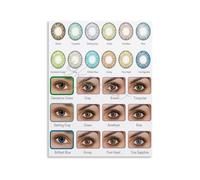 JMVLVLOA Beauty Salon Color Contact Lens Selection Guide Canvas Print Wall Art for Makeup Studio Decor(Framed,12x18inch(30x45cm))