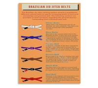 JMVLVLOA BJJ Belt Ranks Poster Martial Arts Technique Graduation Chart Wall-Art Canvas for Dojo Living Room(Unframed,12x18inch(30x45cm))