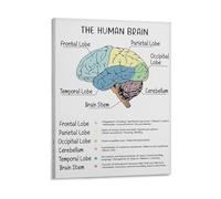 JMVLVLOA Brain Lobes Functions Poster Human Brain Anatomy Psychology Brain and Behavior Mental Health CBT Art Print Office Decor(Unframed,16x24inch(40x60cm))