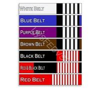 JMVLVLOA Complete BJJ Belt Order Reference Guide Educational Poster Canvas for Grappling Academy Lounge(Framed,08x12inch(20x30cm))