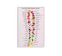 JMVLVLOA Educational Pepper Heat Guide Metal Tin Sign Chili Chart Informational Reference for Kitchen BBQ and Spicy Food Lovers Decor 8 X 12 in