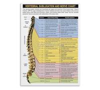 JMVLVLOA Human Backbone and Nerve System Educational Anatomy Poster Detailed Biology Chart Wall-Art Print for Office Clinic Decor 8 X 12 in