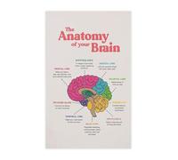 JMVLVLOA Neurology and Mental Health Poster Brain Anatomy Chart Canvas Wall Art for Therapy Study Room Decor(Framed,16x24inch(40x60cm))