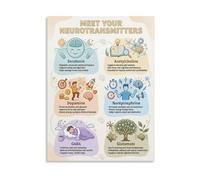 JMVLVLOA Neurotransmitters Poster Canvas Wall Art Brain Chemistry Study Guide for Science Teachers Classroom Library Decor(Unframed,16x24inch(40x60cm))