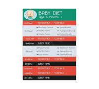 JMVLVLOA Weaning Guide Poster Babys First Foods Solid Food Diet Introduction Chart Canvas Wall Art Educational Nursery Kitchen Decor(Unframed,12x18inch(30x45cm))