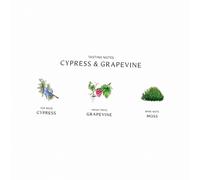 Jo Malone Cypress & Grapevine 100Ml (Eau De Cologne) Unisex