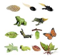 JOAASU 13 Pezzi Figurine di Insetti Ciclo di Vita, Figure Del Ciclo Di Vita Degli Animali Di Rana, Farfalla, Falena Luna, Modello Cognitivo per l'educazione Scientifica dei Bambini