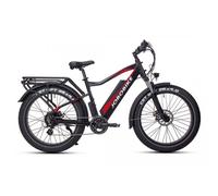 JOBOBIKE Robin Bicicletta elettrica con batteria 48V13AH 1 St