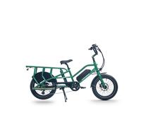 JOBOBIKE Transer Bici Elettrica Per Adulti 250W Bicicletta Da Strada Elettrica 48V 26Ah Fatbike MTB E-bike 20 pollici Mountain Ebike 25 km/h Transer white