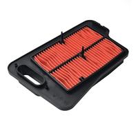 Jodriva 1 pz Griglia di pulizia filtro aria moto Burgman Executive ABS Skywave 400 AN400 AN 400 13781-05H00-000 Filtro aria per moto