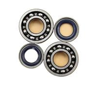 Jodriva Set paraolio cuscinetto a sfere albero motore, for Husqvarna, for parti di motoseghe 254 257 262 357 359 51 55 Guarnizione per olio motore