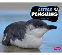 Jody S Rake Little Penguins (Copertina rigida) Penguins