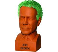 Joe Biden Chia Pet Vaso Decorativo