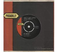 JOE BROWN What a Crazy World We're Living In 7" 45