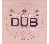 Joe Gibbs And The Professional - Evolution Of Dub Vol. 4