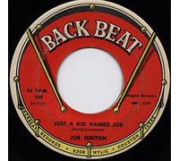 JOE HINTON - just a kid named joe