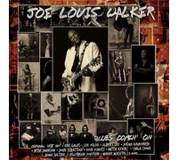 Joe Louis Walker Blues Comin' On (Vinyl LP)