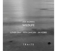 Joe Morris/Petr Cancura/Jim Hobbs & Luther Gray Traits (CD) Album
