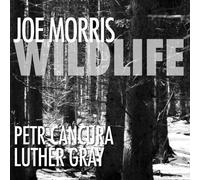 Joe Morris/Petr Cancura/Luther Gray Wildlife (CD) Album