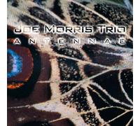 Joe Morris Trio - Antennae