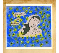 joe nolan - Plain Jane