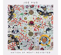Joe Pug - Nation Of Heat / Revisited